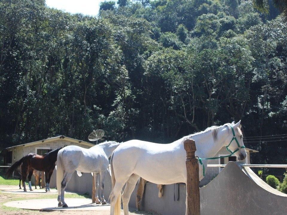 Hotel Fazenda Apm Caieiras Ngoại thất bức ảnh